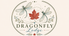 Dragonfly Lodge - Home